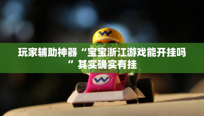 玩家辅助神器“宝宝浙江游戏能开挂吗”其实确实有挂