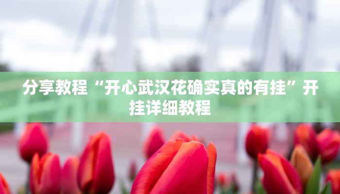 分享教程“开心武汉花确实真的有挂”开挂详细教程