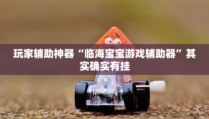 玩家辅助神器“临海宝宝游戏辅助器”其实确实有挂