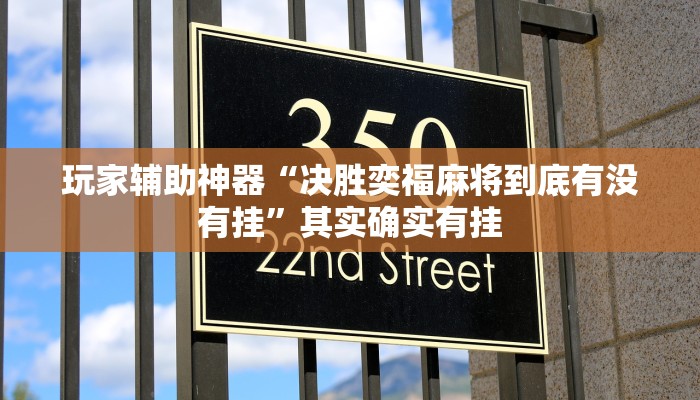 玩家辅助神器“决胜奕福麻将到底有没有挂”其实确实有挂