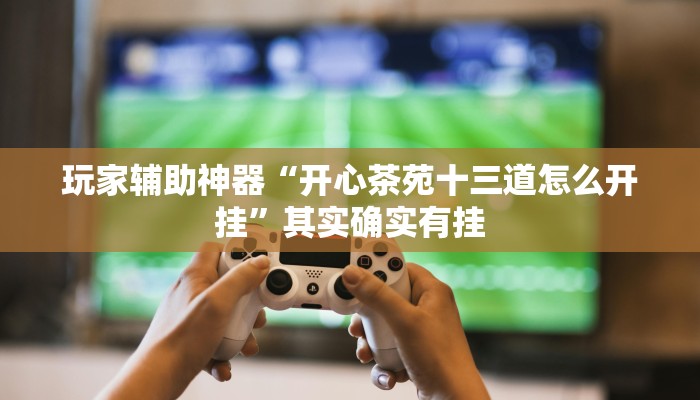 玩家辅助神器“开心茶苑十三道怎么开挂”其实确实有挂