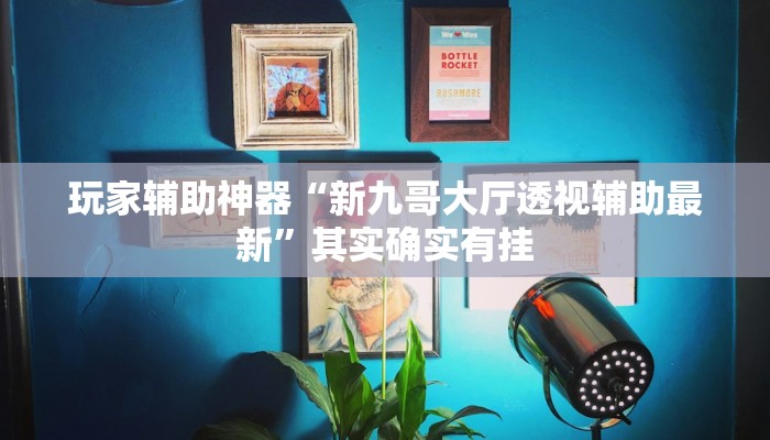 玩家辅助神器“新广西老友麻将有开挂的吗”其实确实有挂