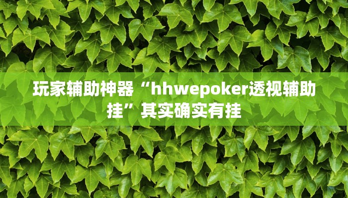 玩家辅助神器“hhwepoker透视辅助挂”其实确实有挂