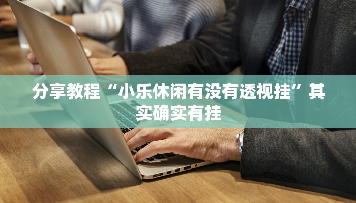 分享教程“小乐休闲有没有透视挂”其实确实有挂