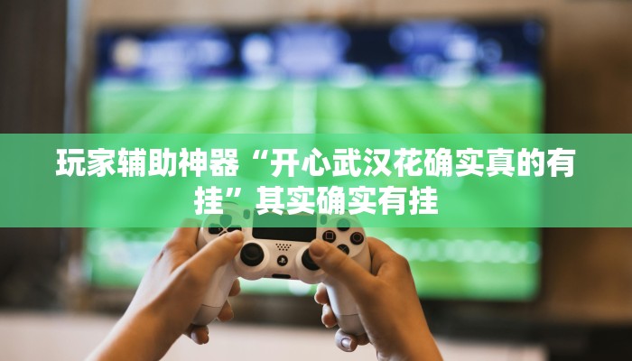 玩家辅助神器“开心武汉花确实真的有挂”其实确实有挂