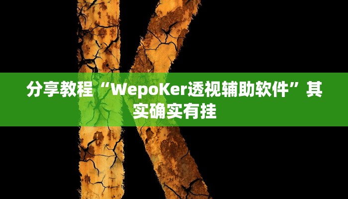 分享教程“WepoKer透视辅助软件”其实确实有挂