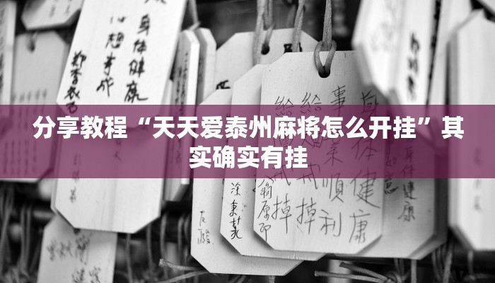 分享教程“天天爱泰州麻将怎么开挂”其实确实有挂
