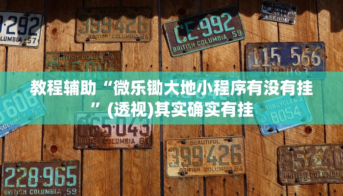 教程辅助“微乐锄大地小程序有没有挂”(透视)其实确实有挂