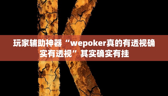 玩家辅助神器“wepoker真的有透视确实有透视”其实确实有挂