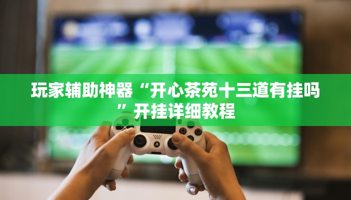 玩家辅助神器“开心茶苑十三道有挂吗”开挂详细教程