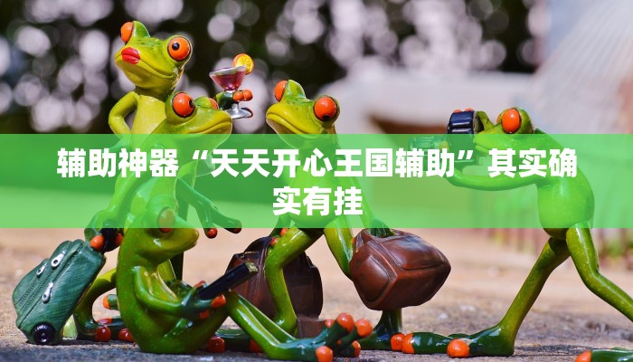 辅助神器“天天开心王国辅助”其实确实有挂