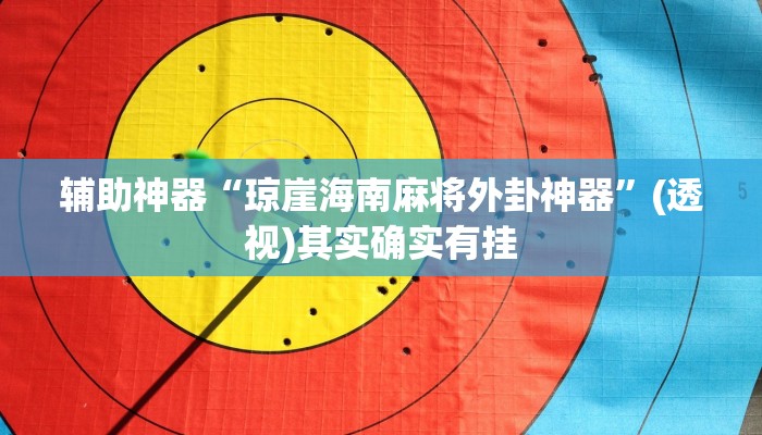 辅助神器“琼崖海南麻将外卦神器”(透视)其实确实有挂