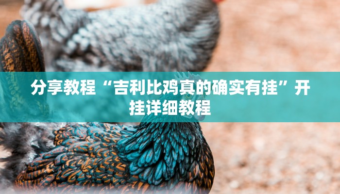 分享教程“吉利比鸡真的确实有挂”开挂详细教程