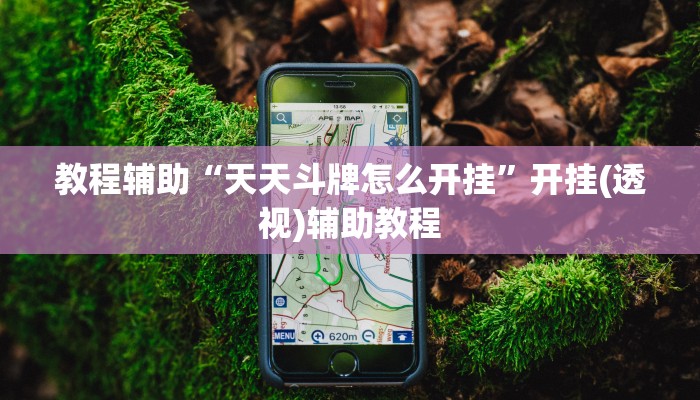 教程辅助“天天斗牌怎么开挂”开挂(透视)辅助教程