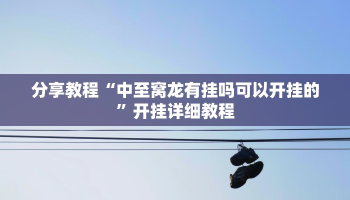 分享教程“中至窝龙有挂吗可以开挂的”开挂详细教程