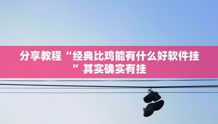 分享教程“经典比鸡能有什么好软件挂”其实确实有挂 分享教程“经典比鸡能有什么好软件挂”其实确实有挂