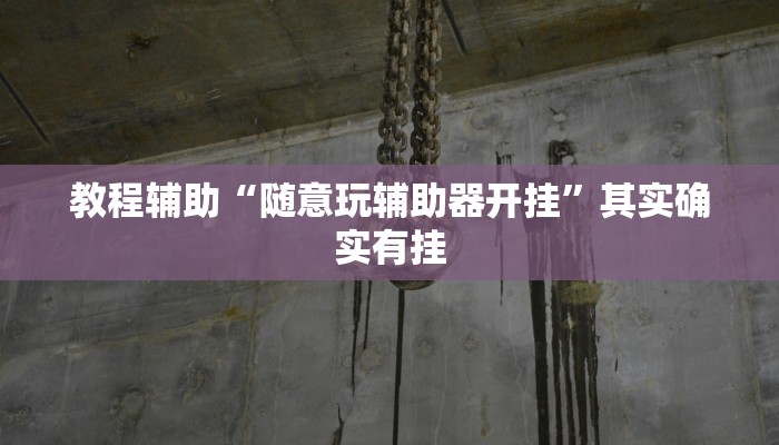 教程辅助“随意玩辅助器开挂”其实确实有挂 教程辅助“随意玩辅助器开挂”其实确实有挂