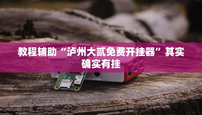 教程辅助“泸州大贰免费开挂器”其实确实有挂