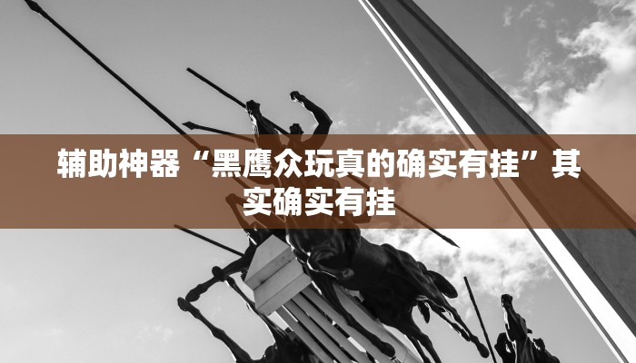 辅助神器“黑鹰众玩真的确实有挂”其实确实有挂