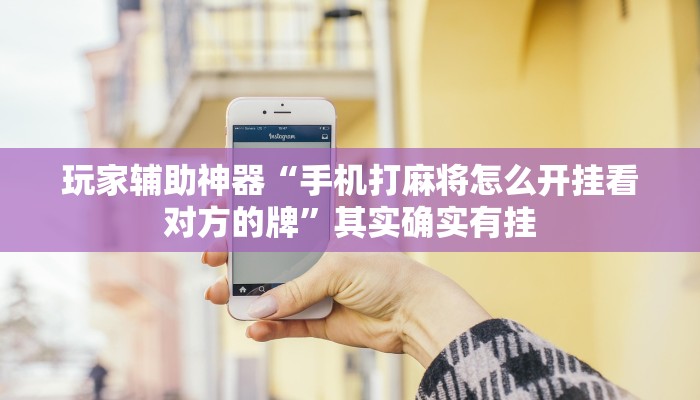 玩家辅助神器“手机打麻将怎么开挂看对方的牌”其实确实有挂 玩家辅助神器“手机打麻将怎么开挂看对方的牌”其实确实有挂