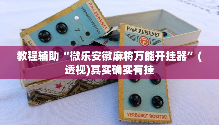 教程辅助“微乐安徽麻将万能开挂器”(透视)其实确实有挂