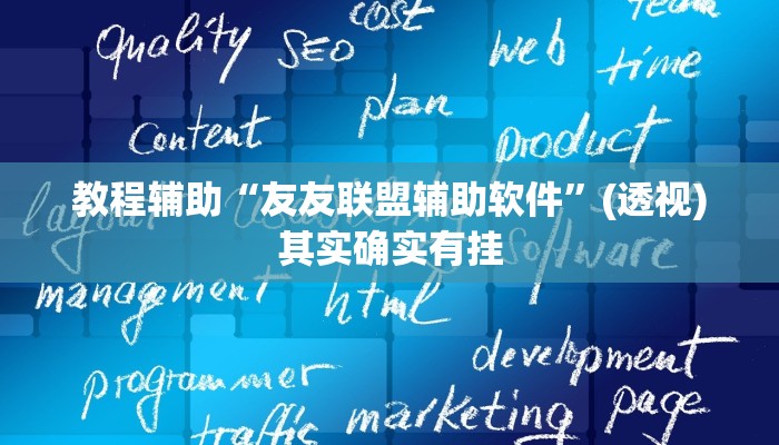 教程辅助“友友联盟辅助软件”(透视)其实确实有挂