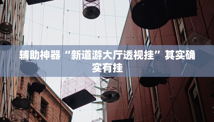 辅助神器“新道游大厅透视挂”其实确实有挂