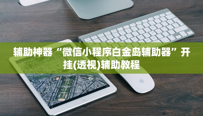 辅助神器“微信小程序白金岛辅助器”开挂(透视)辅助教程