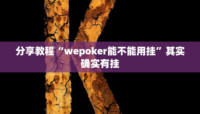 分享教程“wepoker能不能用挂”其实确实有挂 分享教程“wepoker能不能用挂”其实确实有挂