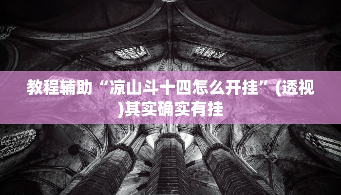 教程辅助“凉山斗十四怎么开挂”(透视)其实确实有挂