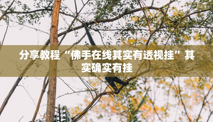 分享教程“佛手在线其实有透视挂”其实确实有挂