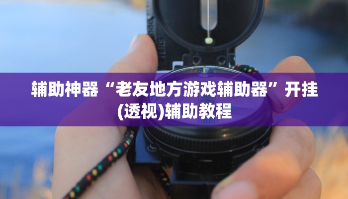 辅助神器“老友地方游戏辅助器”开挂(透视)辅助教程