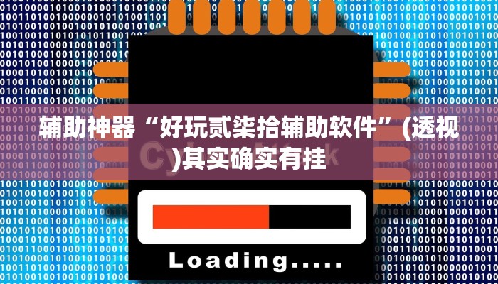 辅助神器“好玩贰柒拾辅助软件”(透视)其实确实有挂