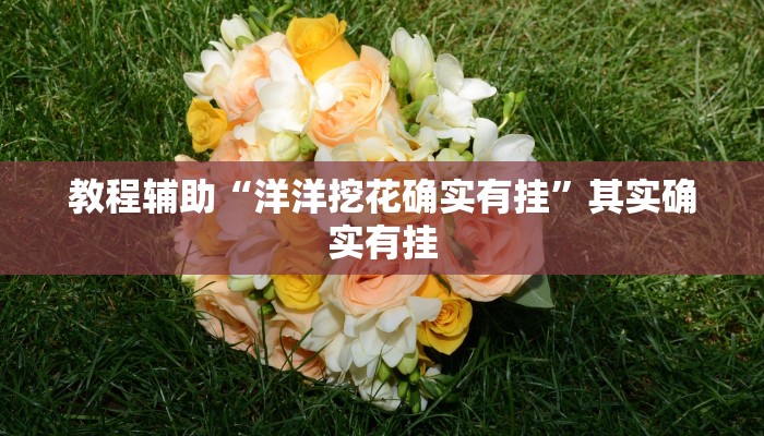 教程辅助“洋洋挖花确实有挂”其实确实有挂