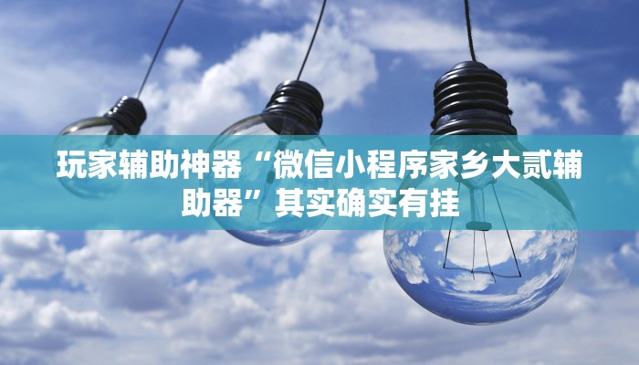 玩家辅助神器“微信小程序家乡大贰辅助器”其实确实有挂