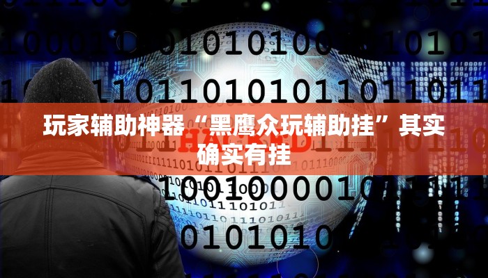 玩家辅助神器“黑鹰众玩辅助挂”其实确实有挂