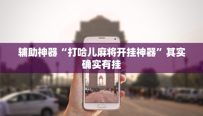 辅助神器“打哈儿麻将开挂神器”其实确实有挂