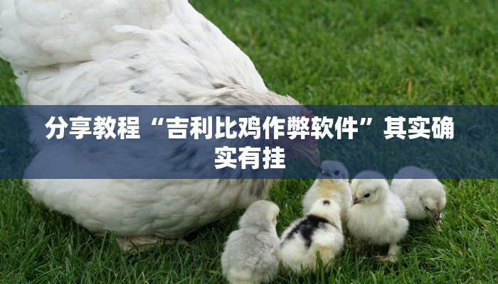 分享教程“吉利比鸡作弊软件”其实确实有挂