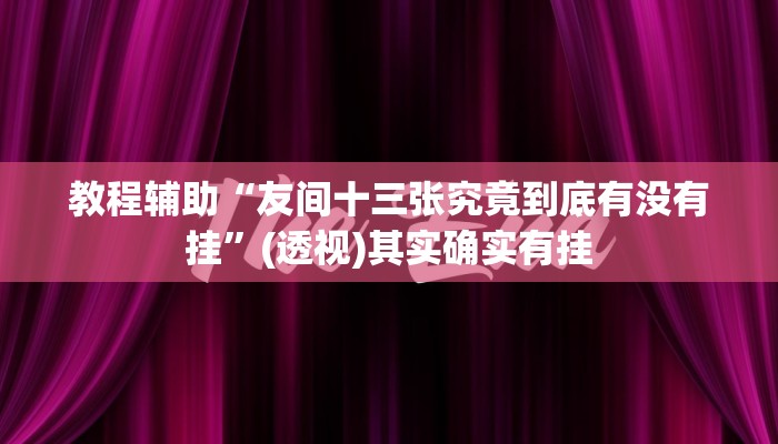 教程辅助“友间十三张究竟到底有没有挂”(透视)其实确实有挂