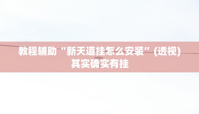 教程辅助“新天道挂怎么安装”(透视)其实确实有挂