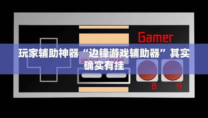 玩家辅助神器“边锋游戏辅助器”其实确实有挂 玩家辅助神器“边锋游戏辅助器”其实确实有挂