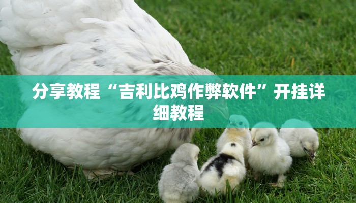 玩家辅助神器“微乐河南麻将开挂神器”开挂详细教程