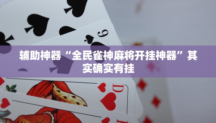 玩家辅助神器“皮皮跑胡子究竟有挂吗”其实确实有挂