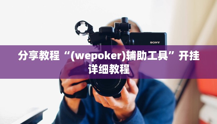 分享教程“(wepoker)辅助工具”开挂详细教程