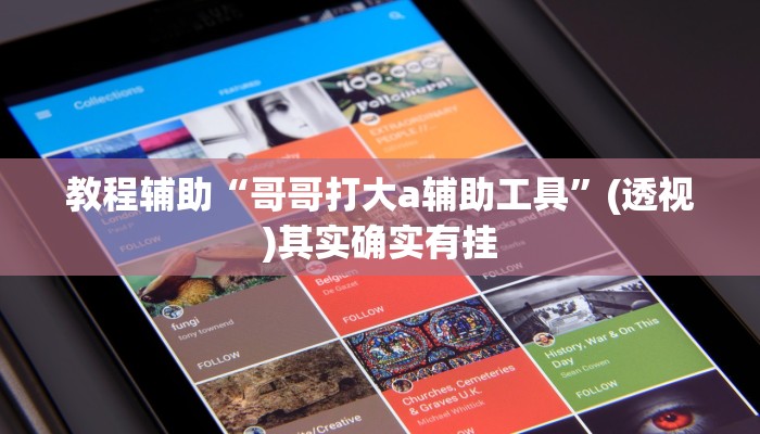 教程辅助“哥哥打大a辅助工具”(透视)其实确实有挂