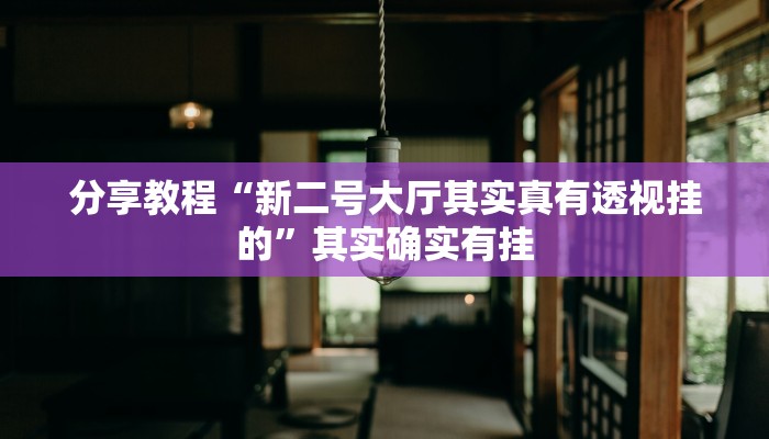 分享教程“新二号大厅其实真有透视挂的”其实确实有挂
