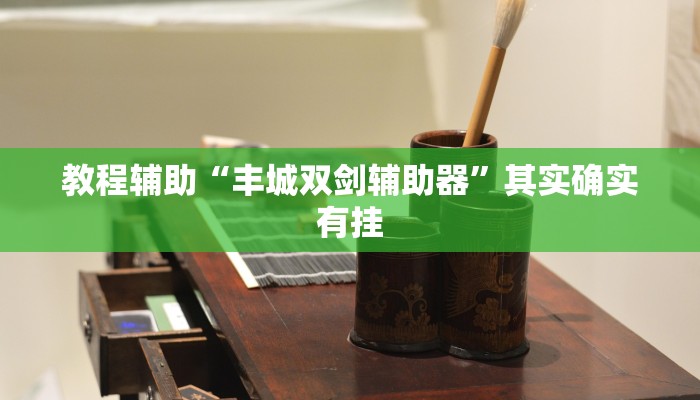 教程辅助“丰城双剑辅助器”其实确实有挂