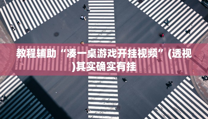 教程辅助“凑一桌游戏开挂视频”(透视)其实确实有挂