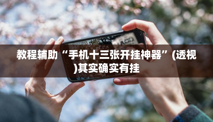 教程辅助“手机十三张开挂神器”(透视)其实确实有挂