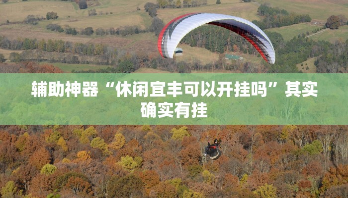 辅助神器“休闲宜丰可以开挂吗”其实确实有挂